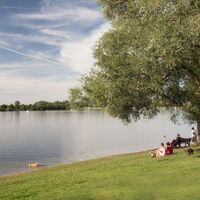 Seeblick an der Hundebadestelle im Salzgittersee