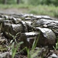 Shermann Panzerkette am Wegrand