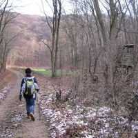 Von Liesing nach Mödling