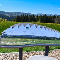 AugenBlick-Runde Sulgen