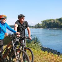 Radler unterwegs am Rhein.