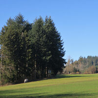 Herrliches Wandergelände.