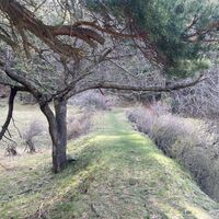 Weg 3 des Parks