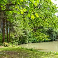Idyllische Teiche säumen den Weg