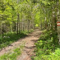 Pfannstein-Trail - Micheldorf