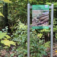 Station am Waldbadepfad Assamstadt