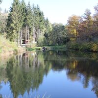 Feuchtbiotop in Unterkohlstätten