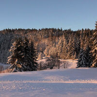 Todtmoos Schneeschuhtour Panoramatrail 4