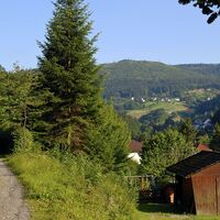 Blick auf das obere Gaistal
