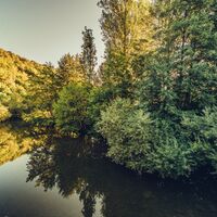 Flussbiegung der Jagst
