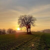 Landschaft bei Neuenbürg