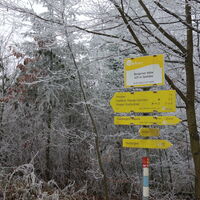 bei der Kreuzung L7110/L7111