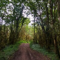 Weg zum Lac de Chailloux