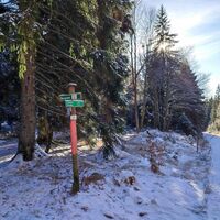 Forststraße nach Schwendreut folgen