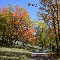 Strada per le Tre Croci