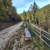 Oberer Feistritztal-Radweg, Joglland-Waldheimat in der Oststeiermark