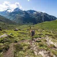 Randonneur Richtung Fontargente