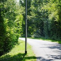 Salzgittersee, Wanderweg 32 Seeumrundung auf bestigtem Weg
