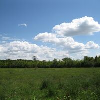 Eßling - Gerasdorf