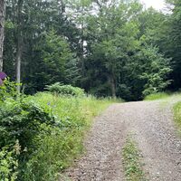 Hier links halten -- rechts wär eine Variante zu den "Drei Galgen" und dann via "Normalweg" weiter zur Ochsenburger Hütte