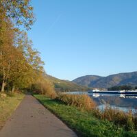 Der Mosel-Radweg hinter Lieser