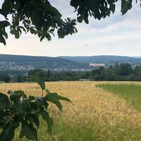 Blick auf die Heidecksburg in Rudolstadt