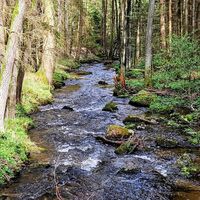 31.7 km Wultschaubach