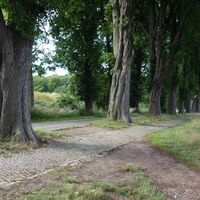 Der Singplatzweg