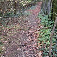 Oben auf der Mauer gehen, besteht keine Gefahr