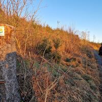 BestWeg Nuttlar Suhrenberg