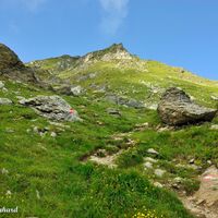 Der gesamte Weg ist sehr gut markiert und beschildert.