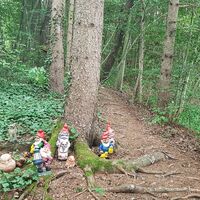 Zwergenweg im Schlosswald