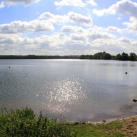 Reeser Meer