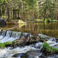 32.4 km Einmündung Wultschaubach in die Lainsitz