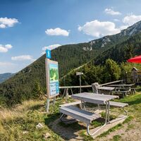 Edelweißhütte Ausblick