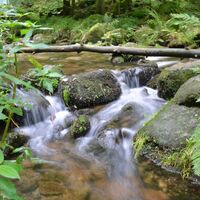Entlang der jungen Alb führt der Quellenerlebnispfad