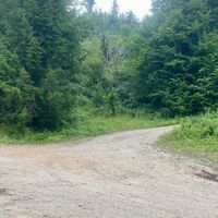 Hambaum Trail Leonstein
