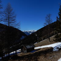 Schneebergdörfl - Hochschneeberg