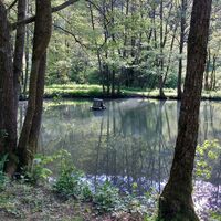 Teich an der Grillstation Schwalefeld