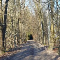 13.0 km Wald bei Neuthaures
