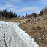 Scheffau_Walleralm_Forstweg_mit Schnee_Februar_März.jpg