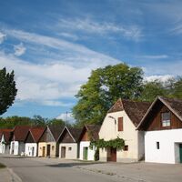 Kellergasse Jetzelsdorf