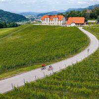 Rennradfahrer auf dem Weg zur Burg Taggenbrunn