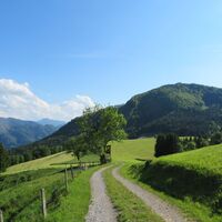St. Leonhard - Waidhofen - Amstettner Hütte