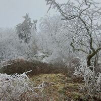 einer der vielen Pemexelgipfel
