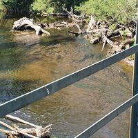 Im Kamp gibt es noch viel Totholz