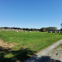 Weg Richtung Rauchwart