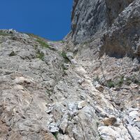 Rinne