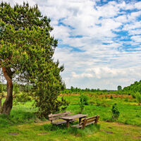 Idyllischer Rastplatz mit Blick auf das NSG Hemslinger Moor