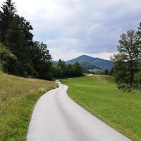 Weg zurück